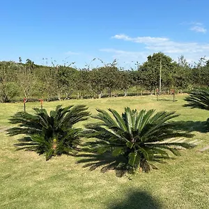  Apartamento Do Campeche